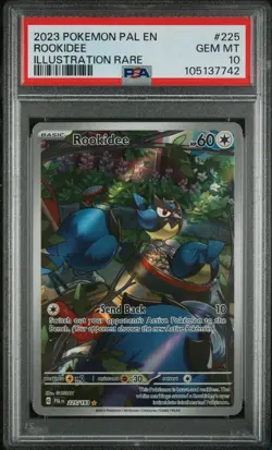 PSA 10 Rookidee 225 Paldea Evolved Illustration Rare Pokemon Card - Image 1