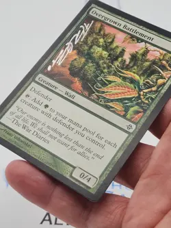 Overgrown Battlement SIGNED FRANZ VOHWINKEL SILVER MTG #B *CCGHouse* - Image 5