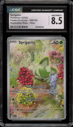 Pokemon Sprigatito Paldea Evolved Illustration Rare #196 CGC 8.5 - Image 1