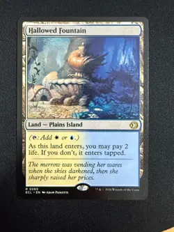 Hallowed Fountain - Lorwyn Eclipsed (MTG) NM - Image 1
