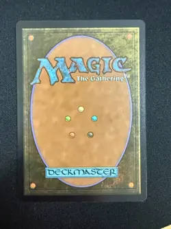 Hallowed Fountain - Lorwyn Eclipsed (MTG) NM - Image 2