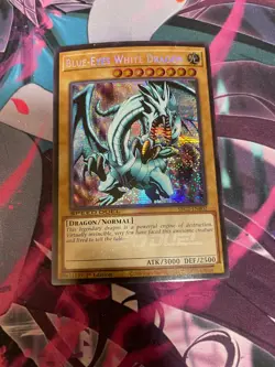 YUGIOH - BLUE EYES WHITE DRAGON - SECRET RARE - SBC2 - NM - 1ST ED - Image 1