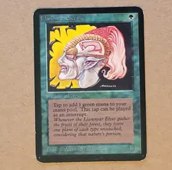 MTG - Magic the Gathering - Alpha Llanowar Elves - LP - Image 1