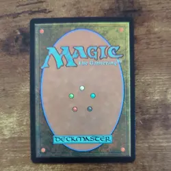 Meticulous Archive #264 (Foil) (NM) Murders Karlov Manor MKM Magic MTG - Image 2