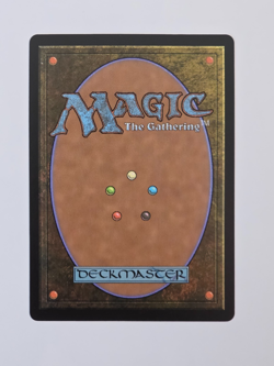 Abundant Countryside - R0042 Reg (Extended Art) - Lorwyn Eclipsed - MTG - NM - Image 2