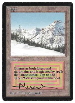 ROB ALEXANDER - SIGNED M:tG MTG BETA TAIGA Play Card - Image 1