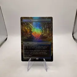 Hallowed Fountain (Borderless FOIL) - MTG Lorwyn Eclipsed NM #347 - Image 1