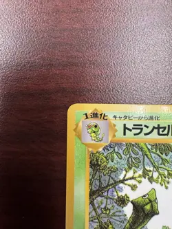 LP - Pokemon Japanese Vending Series 1 (Blue) Metapod No. 011 Glossy - Image 3