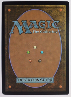 Foil Eternal Night Plains #269 [Midnight Hunt] ERROR MTG - Image 3
