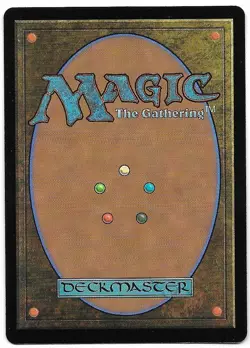 Rimewood falls 266/285 Kaldheim Common Foil Magic The Gathering NM-Mint - Image 2