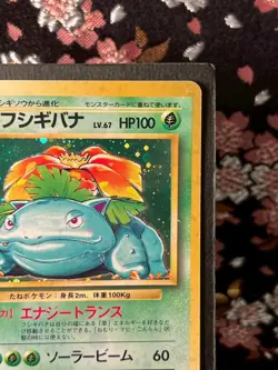 Venusaur 003 Base Set Old Back Holo Rare Japanese Pokemon Card [EX+] - Image 4