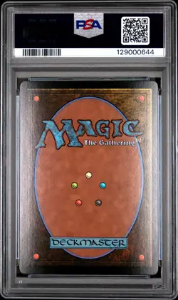 2025 MTG FINAL FANTASY WOODBLOCK BORDERLESS-FOIL #0350 AETTIR AND PRIWEN PSA 10 - Image 2
