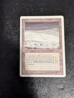 Tundra Revised Edition Mtg - Image 1