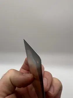 Sliver Overlord Foil Secret Lair Drop Series Card Near Mint Condition - Image 4