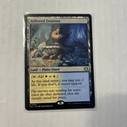 Hallowed Fountain Lorwyn Eclipsed Regular - MTG - NM - Image 1