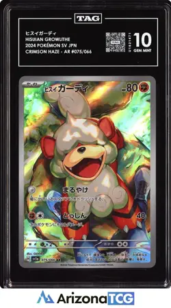 Pokemon 2024 Hisuian Growlithe 075/066 AR Crimson Haze Japanese GEM MINT TAG 10 - Image 1