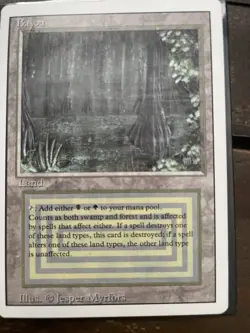 Bayou Revised Edition Regular - Image 1