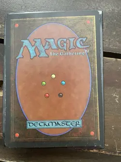 Bayou Revised Edition Regular - Image 3