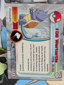 topps Pokemon TV Animation Series 1 Rainbow Holo Foil #08 Wartortle black Logo - Image 3