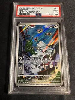 Pokemon TCG Chatot Card SV05: Temporal Forces Illustration Rare PSA 9 - Image 1