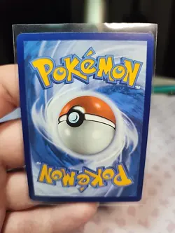 Lileep Holofoil 145/142 Stellar Crown Illustration Rare Pokemon Card NEAR MINT - Image 2