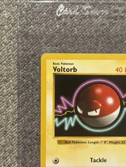 Pokemon TCG Voltorb Base Set, Shadowless Common Card 67/102 NM LP Condition - Image 4