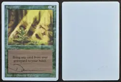 Signed MtG Magic Dameon Willich Artist Proof _ Revised _ REGROWTH _ VHTF 1/100! - Image 1