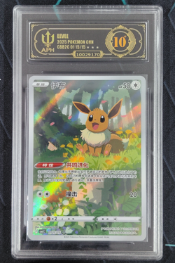 APH Black 10 Pokemon Chinese exclusive Eevee Gem Pack Vol.2 01 15/15 CBB2C - Image 1