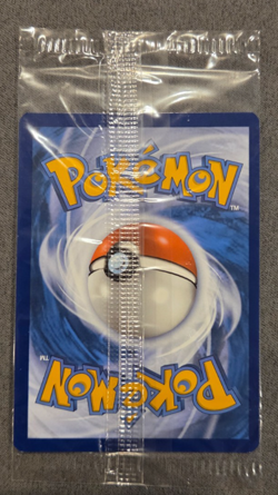 Charmander SVP 044 Black Star Promo Obsidian Flames Sealed POKEMON TCG - Image 2