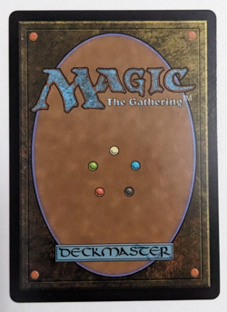 Catharsis (0292) Borderless, Lorwyn Eclipsed ECL, Magic MtG, FOIL - NM! - Image 3