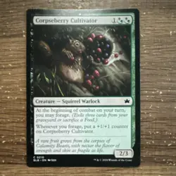 Magic: The Gathering BLB Squirrel Creature Theme 4 Cards - Image 3