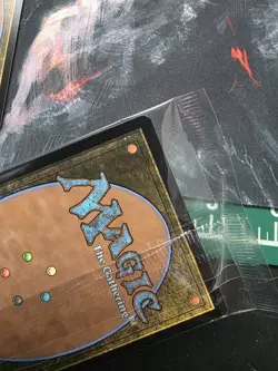 x1 Selfless Safewright - Foil R MTG Lorwyn Eclipsed M/NM, English - Image 4