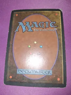 Tundra - Revised - * SIGNED * MTG - Image 3