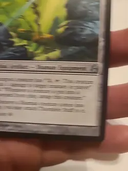 Thornbite Staff x1 MTG Morningtide Magic Light Play LP English - Image 4