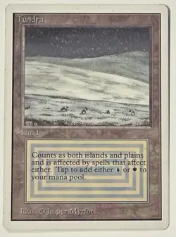 Magic the Gathering Dual Land - Tundra (Unlimited) Card #2 - Image 1