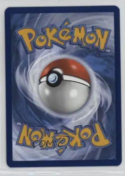 Pikachu (Paldea Adventure Chest) Holo Pokemon Scarlet & Violet Black Star Promo - Image 2