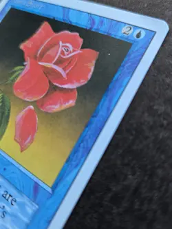 Signed MtG Magic Dameon Willich Artist Proof _ Revised _ MANA SHORT _VHTF 1/100! - Image 2