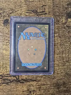 Wan Shi Tong, Librarian (Borderless) #320 (NM) TLA Magic MTG - Image 2
