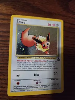 Eevee - Black Star Promo 11 - Pokemon TCG Holo - Image 3