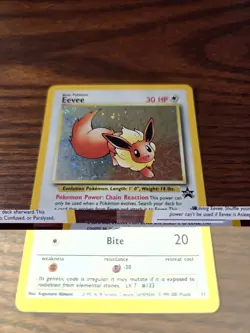 Eevee - Black Star Promo 11 - Pokemon TCG Holo - Image 4