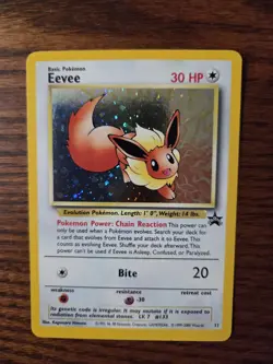 Eevee - Black Star Promo 11 - Pokemon TCG Holo - Image 5