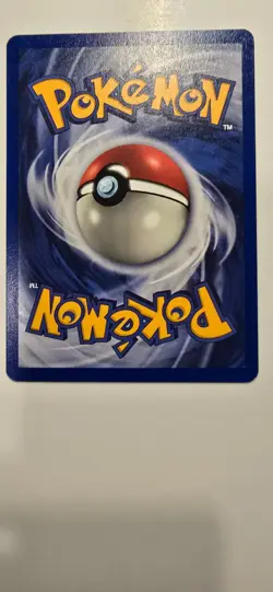 2001 Pokemon Southern Islands #6/18 Raticate NM - Image 4