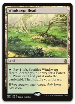 Windswept Heath #248 (NM) Khans of Tarkir KTK Magic MTG - Image 1