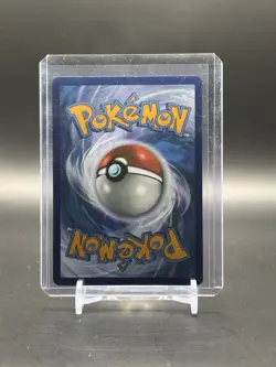 Dubwool V SWSH049 Holo Pokemon Black Star Promo - Image 2