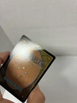 Leaf-Crowned Visionary - BORDERLESS FOIL- Special Guests - Lorwyn Eclipsed - MTG - Image 3