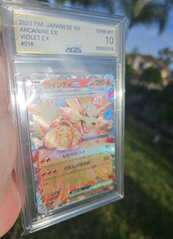 AGS 10 Gem⭐ Pokemon Arcanine EX 016 Scarlet Violet Base FA Japanese in bag - Image 2