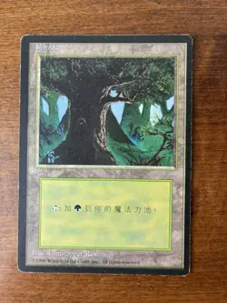 Japanese FBB Forest Land Card HP 4th Edition MTG Magic The Gathering - Image 1