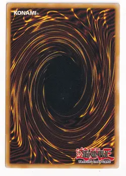 Solidarity (Rare) Unlimited YuGiOh Ancient Prophecy #ANPR-EN054 2009 - Image 2