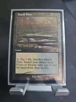 Marsh Flats (Retro Frame) (Foil Etched) Modern Horizons 2 Foil - NM - Image 1