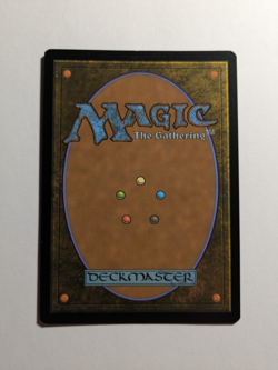 Terrasymbiosis NM Edge of Eternities 210 Regular MtG - Image 2